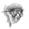 Affe