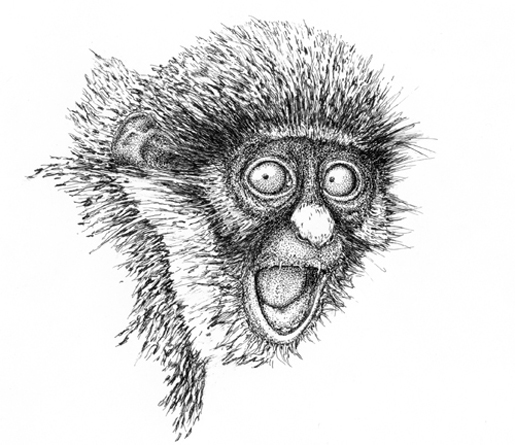 Affe